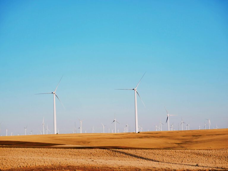 Windmills in dry field in summer day